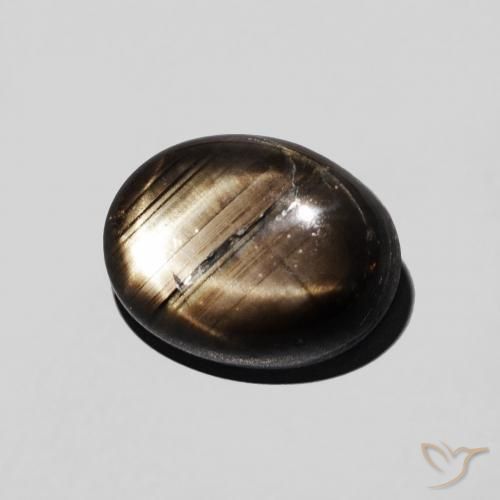 9,17 ctw natürlicher Schwarz Sternsaphir, Oval, Lichtundurchlässig
