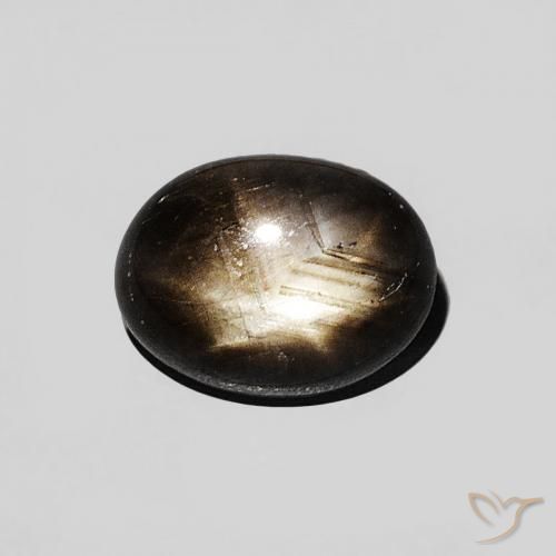 1.29ct Natürlicher Schwarz Sternsaphir, Oval, Lichtundurchlässig