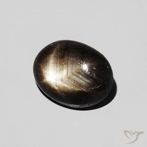 9,17 ctw natürlicher Schwarz Sternsaphir, Oval, Lichtundurchlässig
