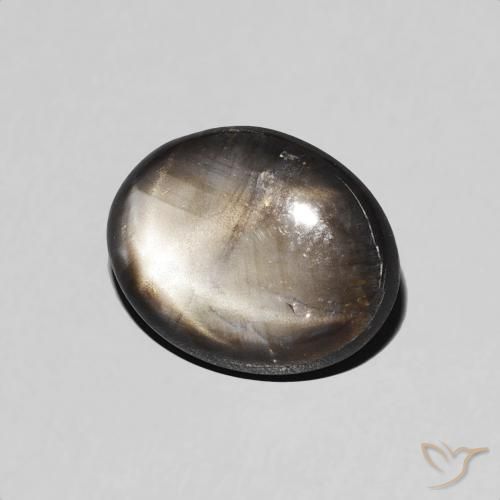 9,17 ctw natürlicher Schwarz Sternsaphir, Oval, Lichtundurchlässig