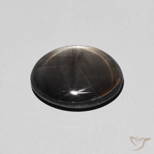 9,17 ctw natürlicher Schwarz Sternsaphir, Oval, Lichtundurchlässig