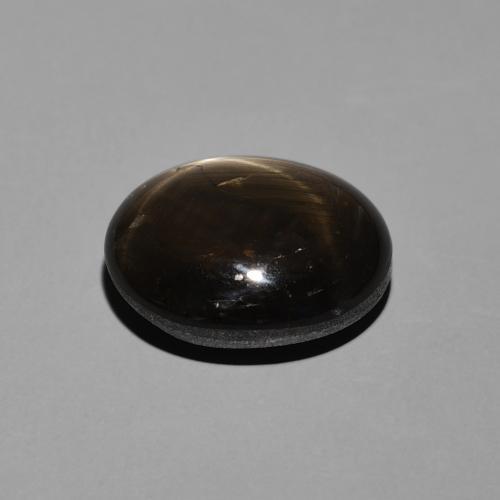 9,17 ctw natürlicher Schwarz Sternsaphir, Oval, Lichtundurchlässig