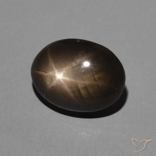 9,17 ctw natürlicher Schwarz Sternsaphir, Oval, Lichtundurchlässig
