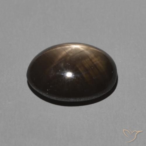 9,17 ctw natürlicher Schwarz Sternsaphir, Oval, Lichtundurchlässig