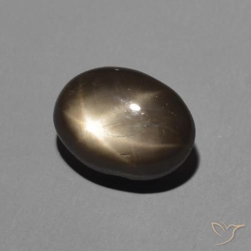 9,17 ctw natürlicher Schwarz Sternsaphir, Oval, Lichtundurchlässig