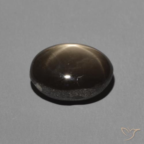 9,17 ctw natürlicher Schwarz Sternsaphir, Oval, Lichtundurchlässig
