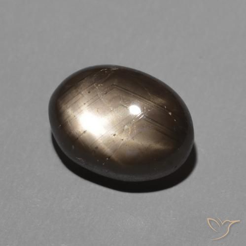 9,17 ctw natürlicher Schwarz Sternsaphir, Oval, Lichtundurchlässig