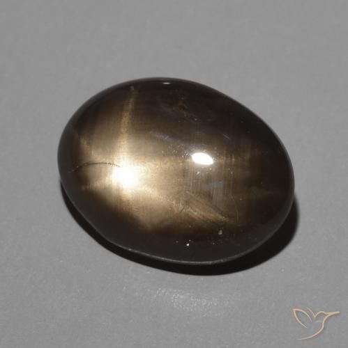 9,17 ctw natürlicher Schwarz Sternsaphir, Oval, Lichtundurchlässig