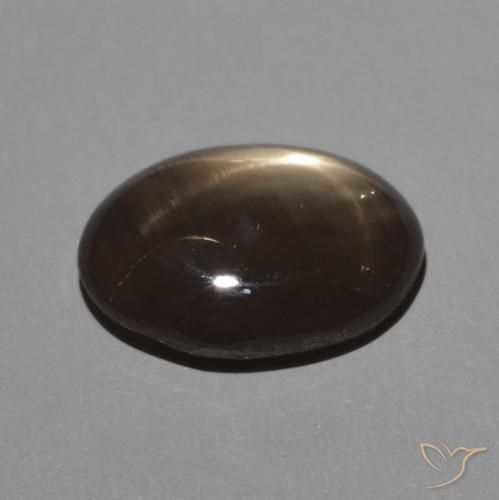 9,17 ctw natürlicher Schwarz Sternsaphir, Oval, Lichtundurchlässig