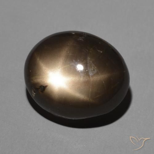 9,17 ctw natürlicher Schwarz Sternsaphir, Oval, Lichtundurchlässig