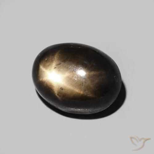 9,17 ctw natürlicher Schwarz Sternsaphir, Oval, Lichtundurchlässig