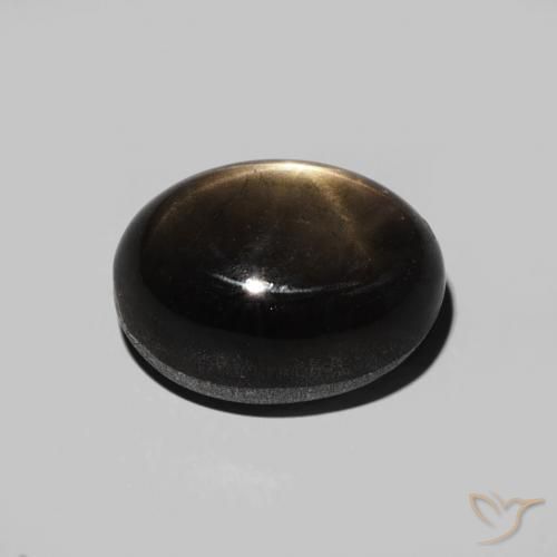 9,17 ctw natürlicher Schwarz Sternsaphir, Oval, Lichtundurchlässig