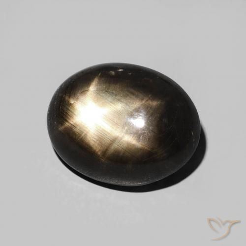 9,17 ctw natürlicher Schwarz Sternsaphir, Oval, Lichtundurchlässig