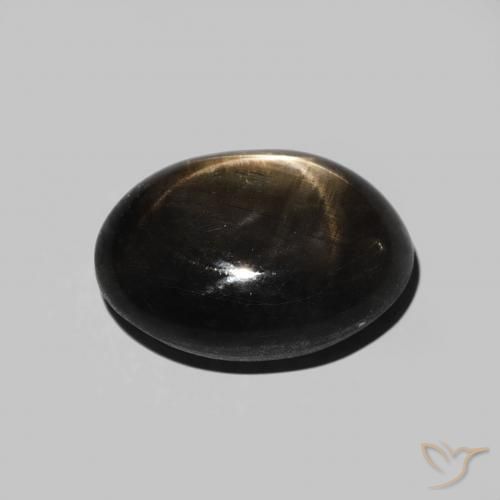 9,17 ctw natürlicher Schwarz Sternsaphir, Oval, Lichtundurchlässig