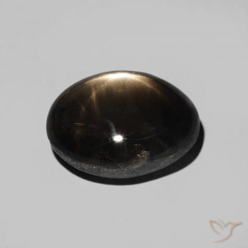 9,17 ctw natürlicher Schwarz Sternsaphir, Oval, Lichtundurchlässig