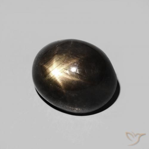 9,17 ctw natürlicher Schwarz Sternsaphir, Oval, Lichtundurchlässig