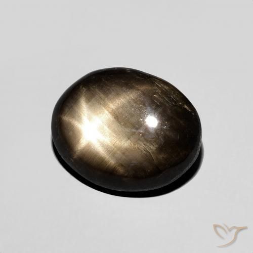 9,17 ctw natürlicher Schwarz Sternsaphir, Oval, Lichtundurchlässig