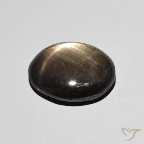 9,17 ctw natürlicher Schwarz Sternsaphir, Oval, Lichtundurchlässig