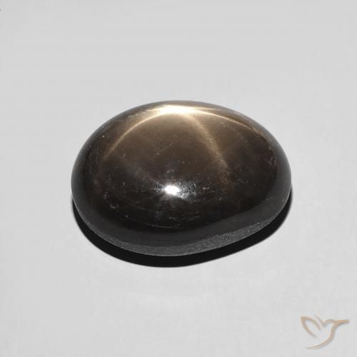 9,17 ctw natürlicher Schwarz Sternsaphir, Oval, Lichtundurchlässig