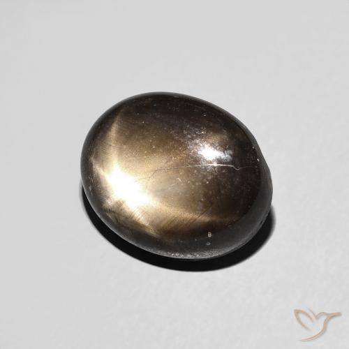 9,17 ctw natürlicher Schwarz Sternsaphir, Oval, Lichtundurchlässig