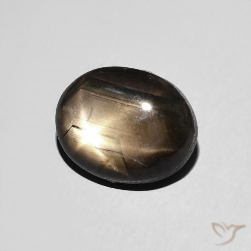 9,17 ctw natürlicher Schwarz Sternsaphir, Oval, Lichtundurchlässig