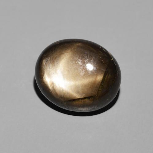 9,17 ctw natürlicher Schwarz Sternsaphir, Oval, Lichtundurchlässig