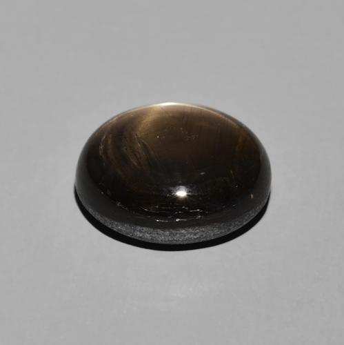 9,17 ctw natürlicher Schwarz Sternsaphir, Oval, Lichtundurchlässig