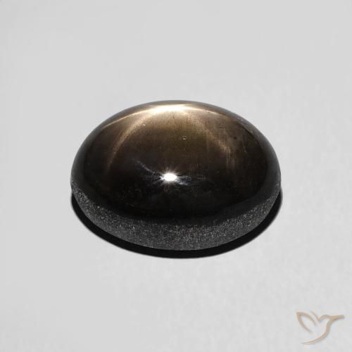 9,17 ctw natürlicher Schwarz Sternsaphir, Oval, Lichtundurchlässig
