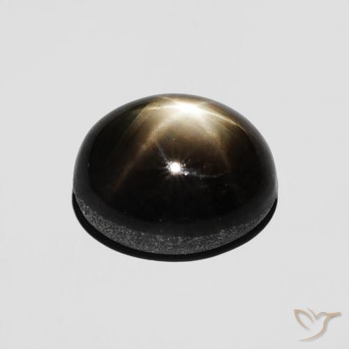 9,17 ctw natürlicher Schwarz Sternsaphir, Oval, Lichtundurchlässig
