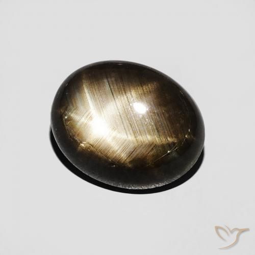 9,17 ctw natürlicher Schwarz Sternsaphir, Oval, Lichtundurchlässig