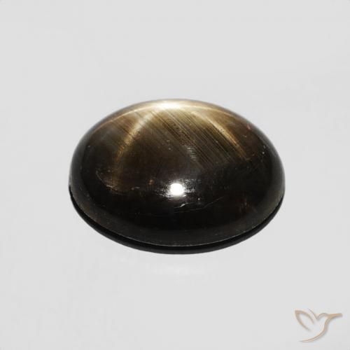 9,17 ctw natürlicher Schwarz Sternsaphir, Oval, Lichtundurchlässig
