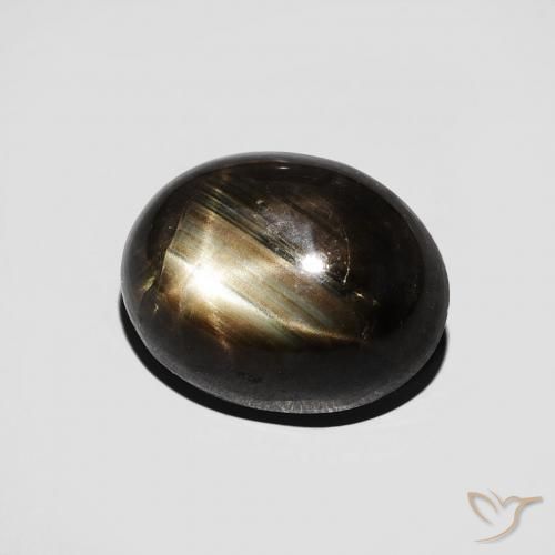 9,17 ctw natürlicher Schwarz Sternsaphir, Oval, Lichtundurchlässig