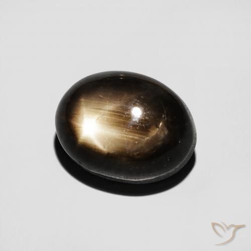 9,17 ctw natürlicher Schwarz Sternsaphir, Oval, Lichtundurchlässig