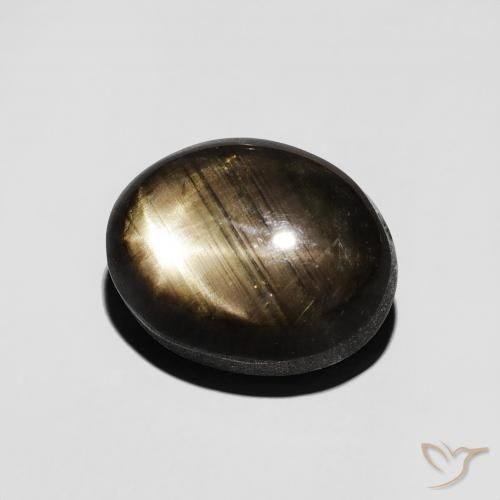 9,17 ctw natürlicher Schwarz Sternsaphir, Oval, Lichtundurchlässig