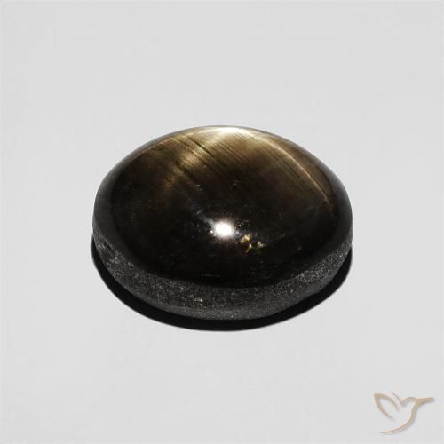 9,17 ctw natürlicher Schwarz Sternsaphir, Oval, Lichtundurchlässig