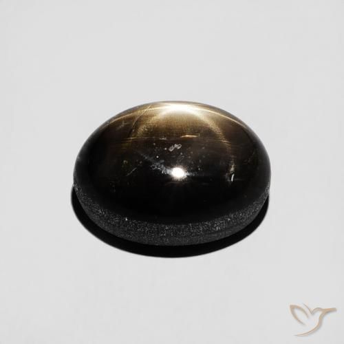 9,17 ctw natürlicher Schwarz Sternsaphir, Oval, Lichtundurchlässig