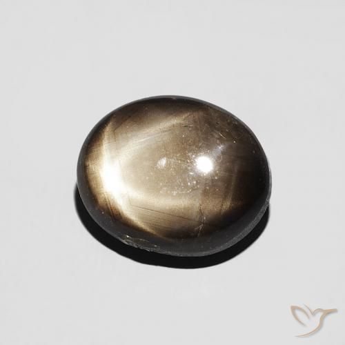 9,17 ctw natürlicher Schwarz Sternsaphir, Oval, Lichtundurchlässig