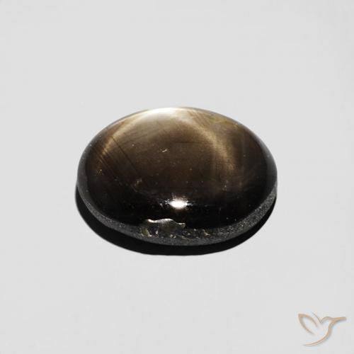 9,17 ctw natürlicher Schwarz Sternsaphir, Oval, Lichtundurchlässig