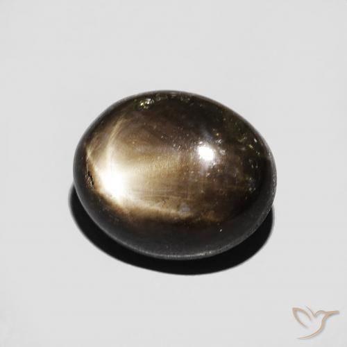 9,17 ctw natürlicher Schwarz Sternsaphir, Oval, Lichtundurchlässig