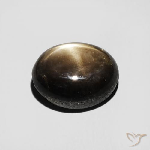 9,17 ctw natürlicher Schwarz Sternsaphir, Oval, Lichtundurchlässig
