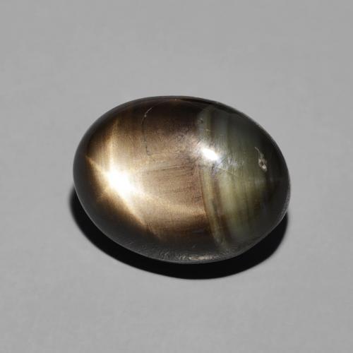 9,17 ctw natürlicher Schwarz Sternsaphir, Oval, Lichtundurchlässig