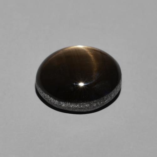 9,17 ctw natürlicher Schwarz Sternsaphir, Oval, Lichtundurchlässig