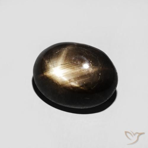 9,17 ctw natürlicher Schwarz Sternsaphir, Oval, Lichtundurchlässig