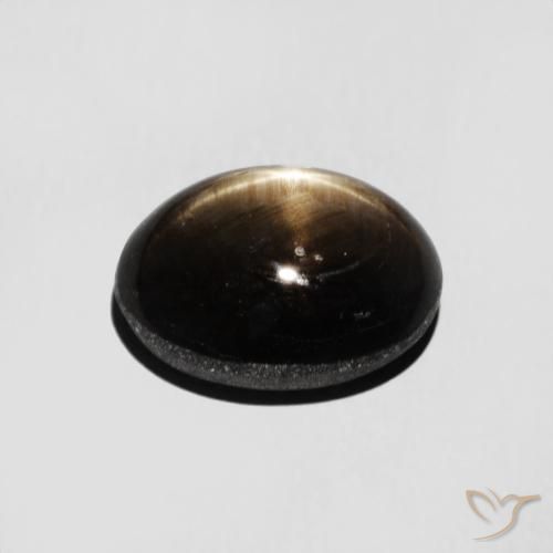 9,17 ctw natürlicher Schwarz Sternsaphir, Oval, Lichtundurchlässig