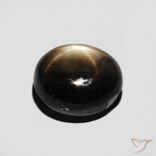 9,17 ctw natürlicher Schwarz Sternsaphir, Oval, Lichtundurchlässig