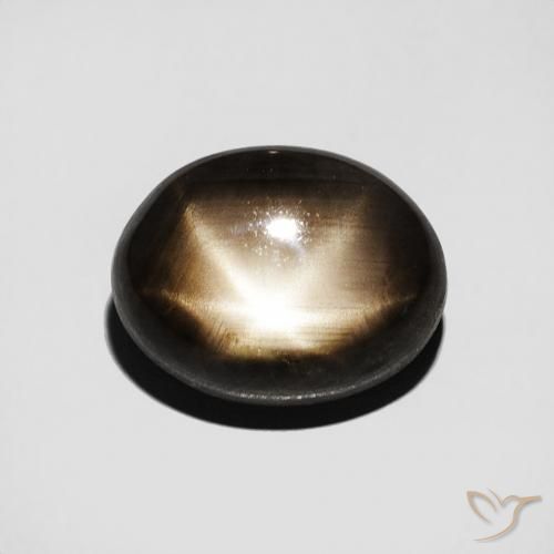 3.50ct Natürlicher Schwarz Sternsaphir, Oval, Lichtundurchlässig