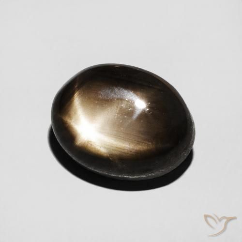 9,17 ctw natürlicher Schwarz Sternsaphir, Oval, Lichtundurchlässig