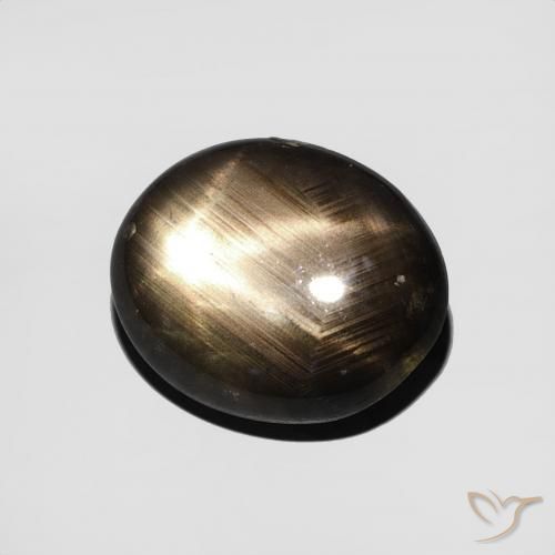 9,17 ctw natürlicher Schwarz Sternsaphir, Oval, Lichtundurchlässig