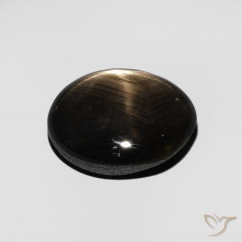 9,17 ctw natürlicher Schwarz Sternsaphir, Oval, Lichtundurchlässig