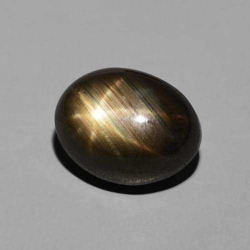 9,17 ctw natürlicher Schwarz Sternsaphir, Oval, Lichtundurchlässig